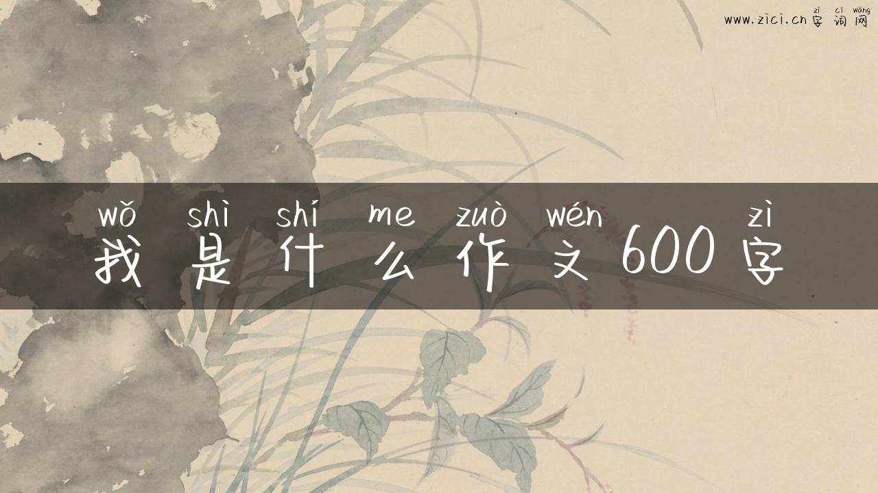 我是什么作文600字