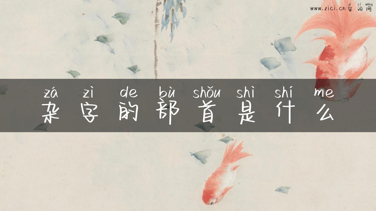 杂字的部首是什么