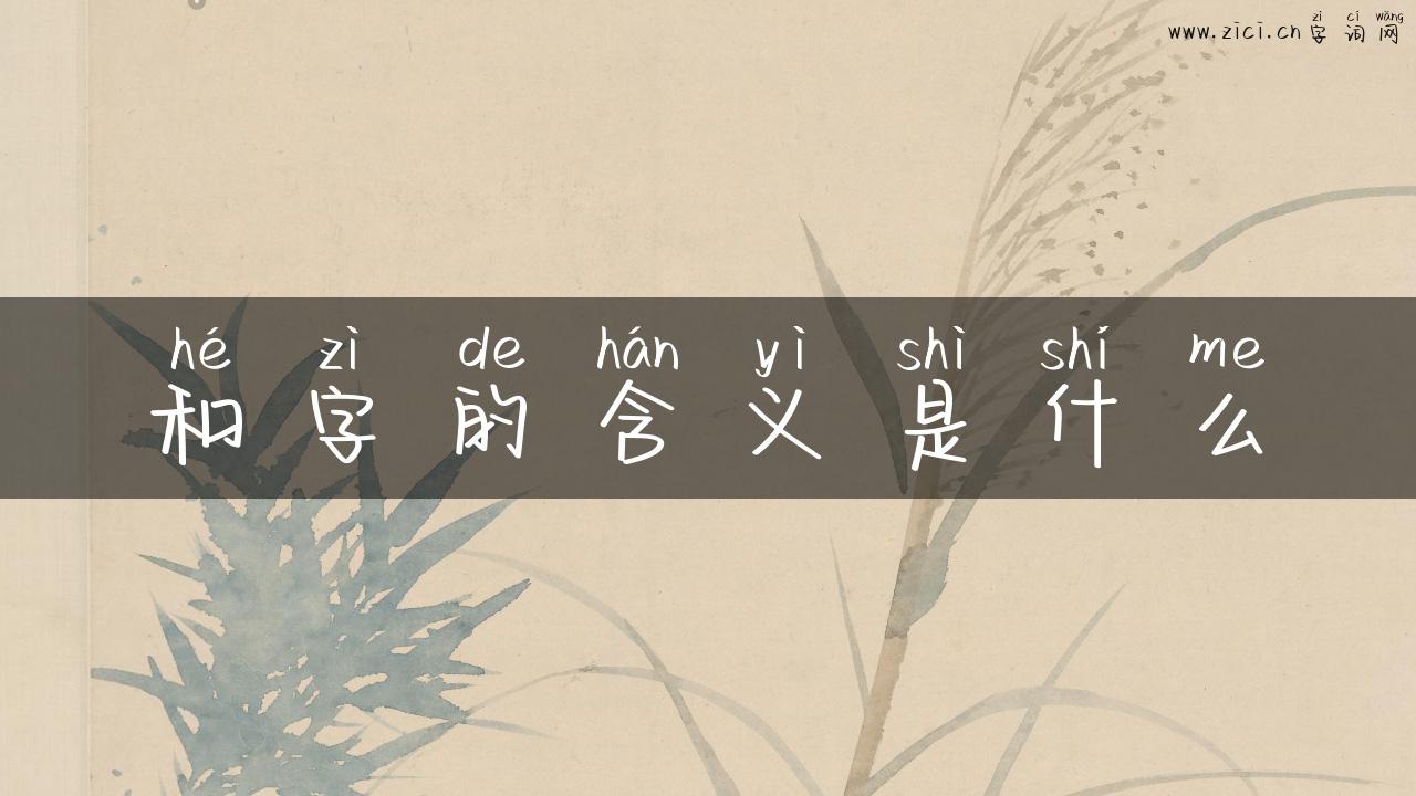 和字的含义是什么