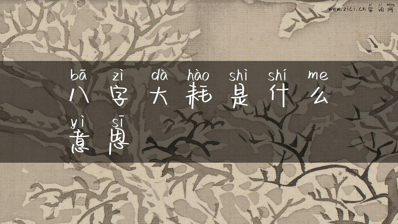 八字大耗是什么意思