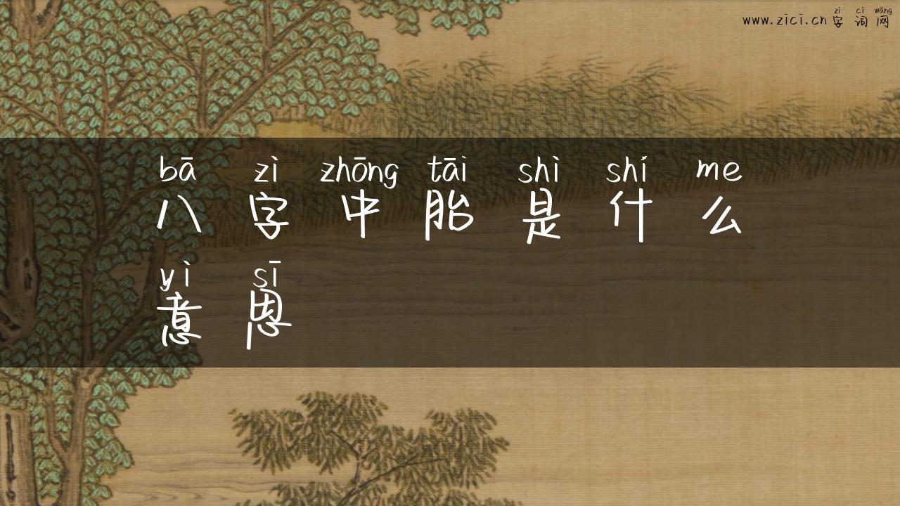 八字中胎是什么意思