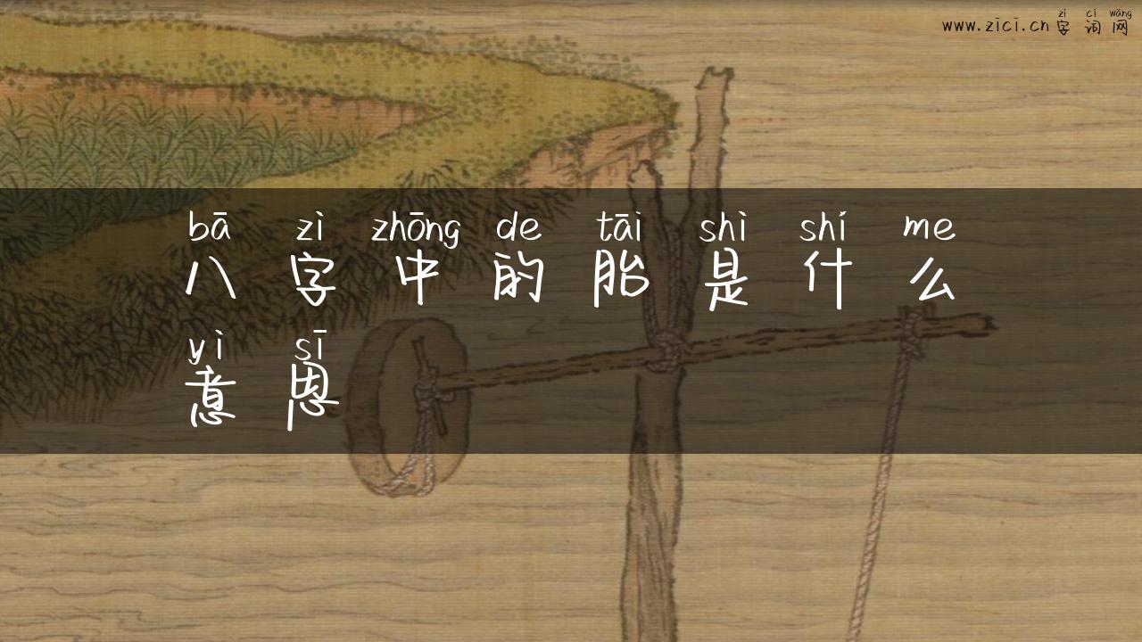 八字中的胎是什么意思
