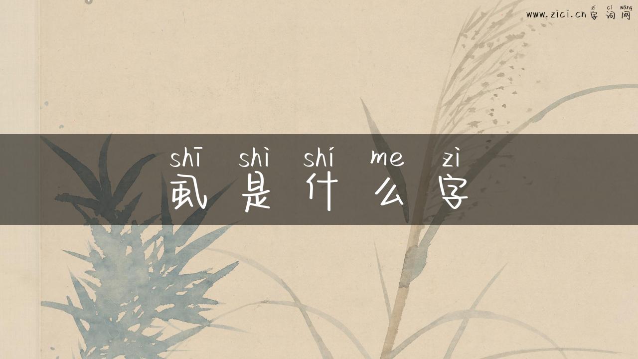 虱是什么字