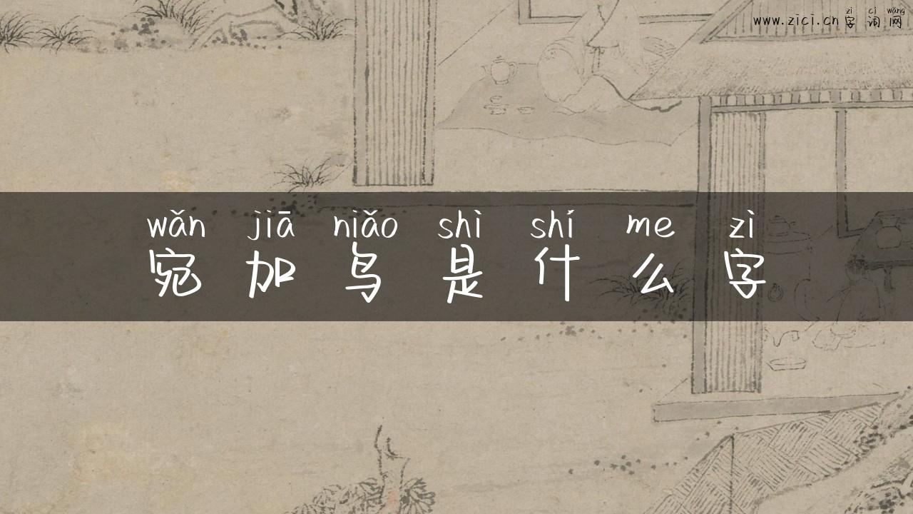 宛加鸟是什么字