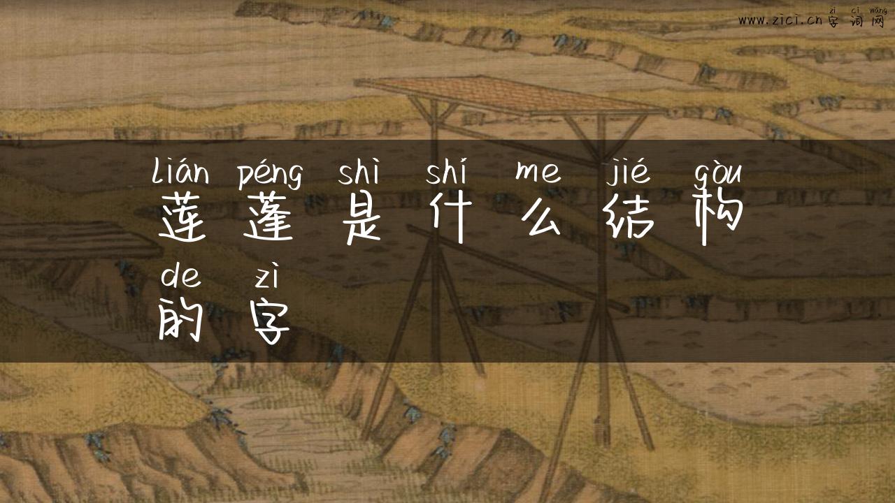 莲蓬是什么结构的字