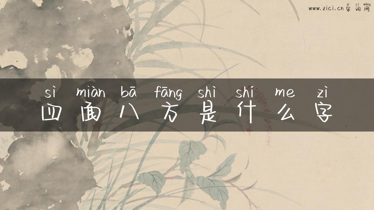四面八方是什么字