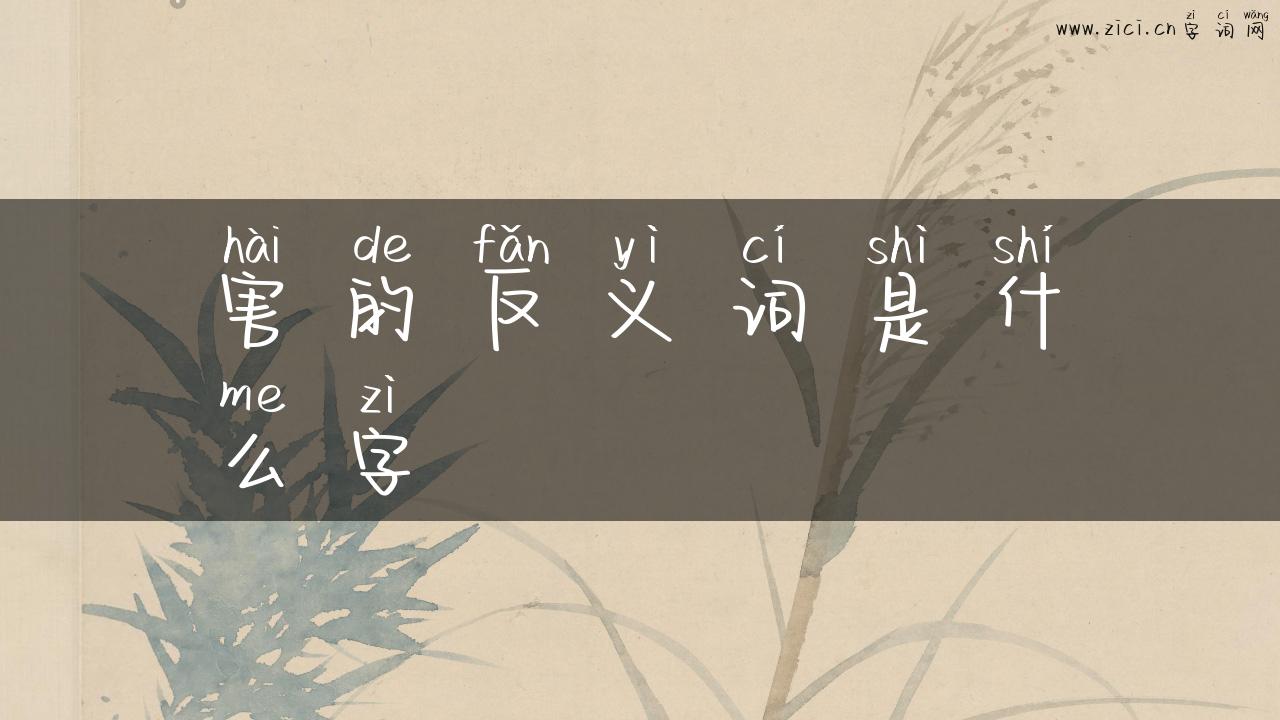 害的反义词是什么字