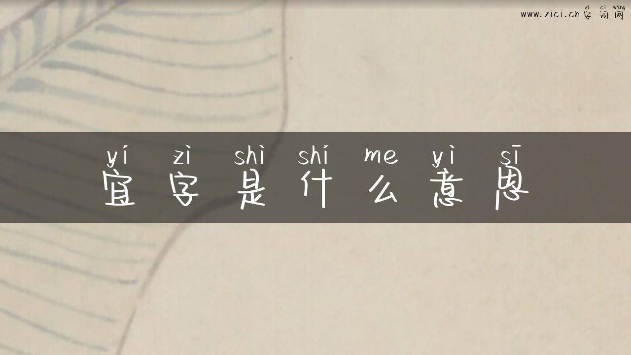宜字是什么意思