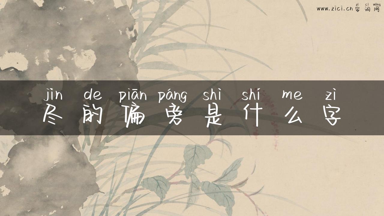 尽的偏旁是什么字