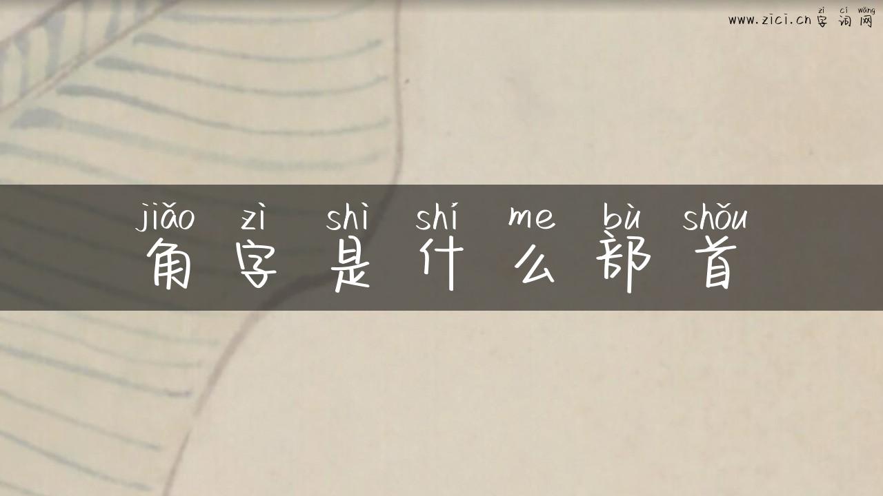 角字是什么部首