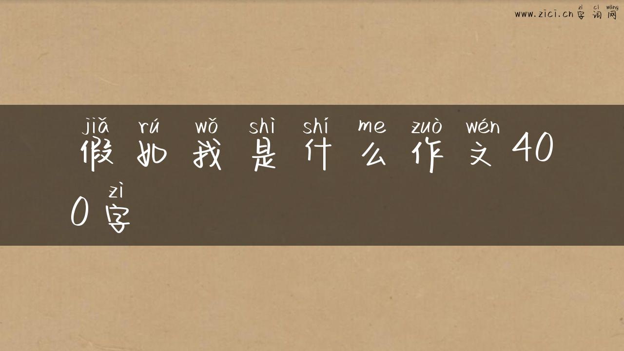 假如我是什么作文400字
