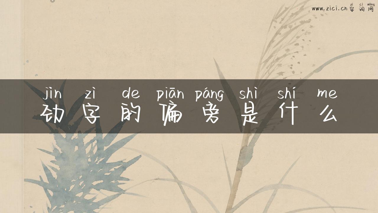 劲字的偏旁是什么