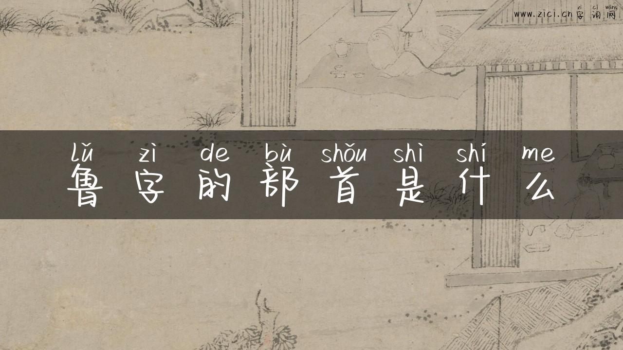 鲁字的部首是什么