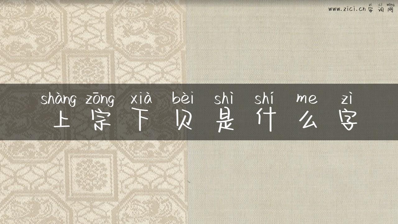 上宗下贝是什么字