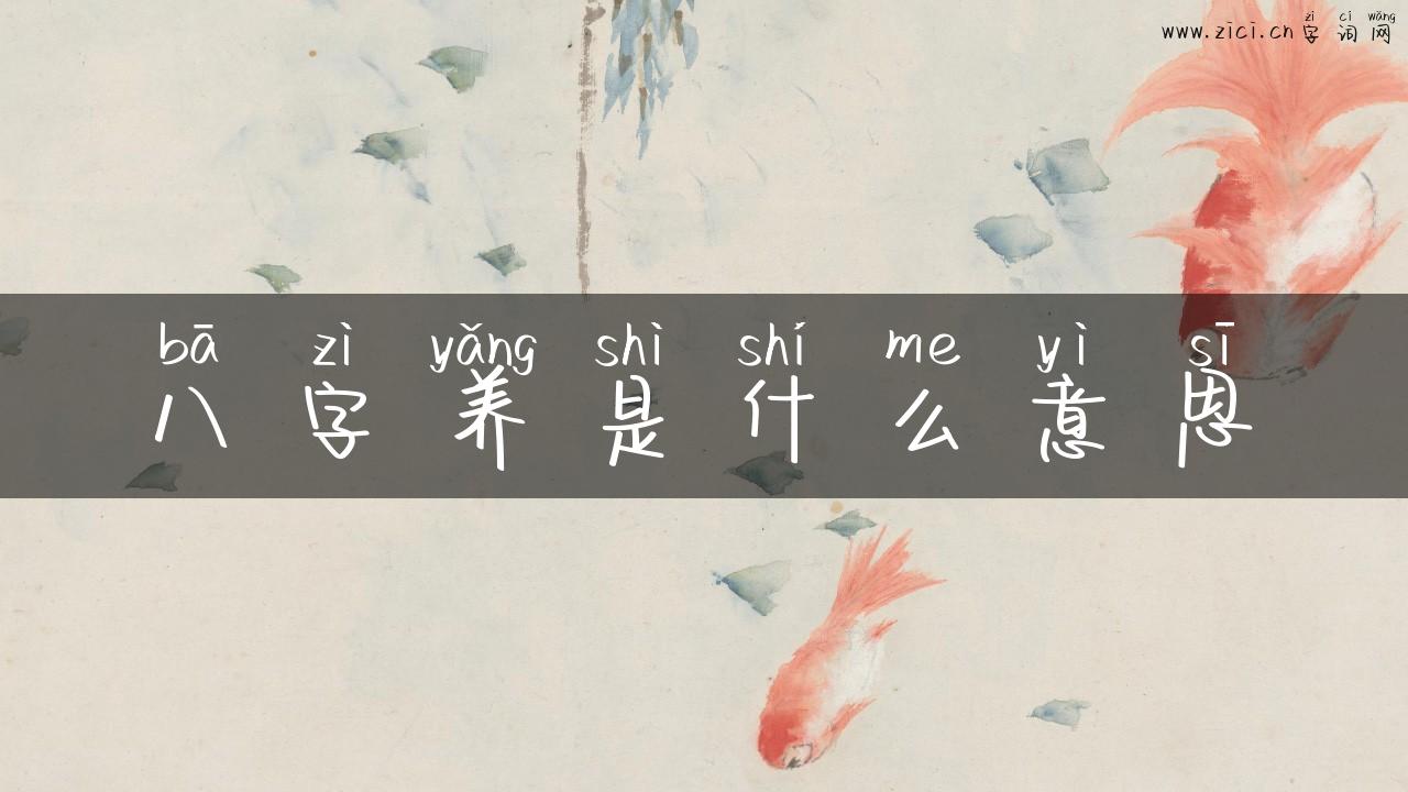 八字养是什么意思