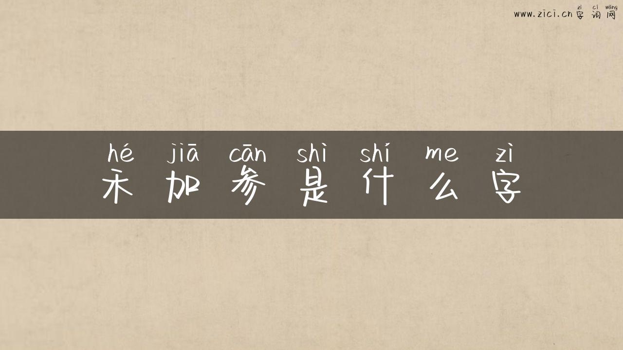 禾加参是什么字