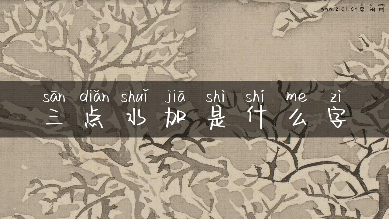 三点水加是什么字
