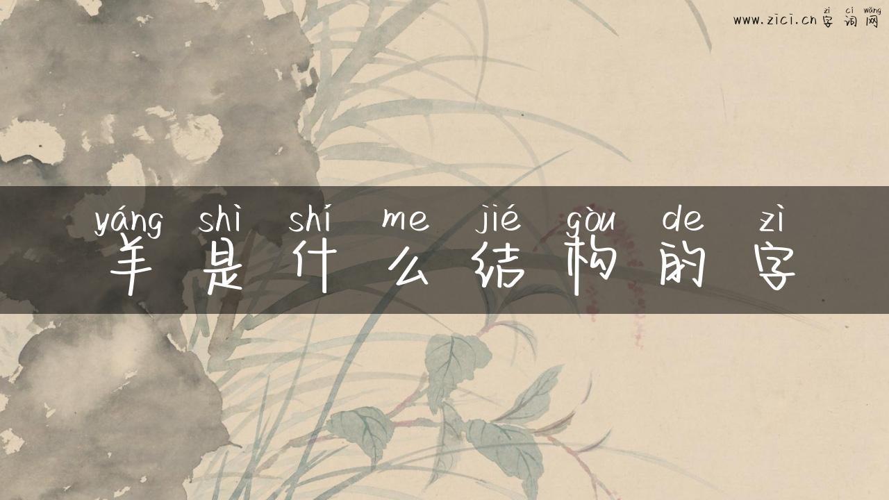 羊是什么结构的字