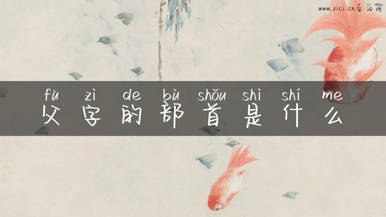 父字的部首是什么