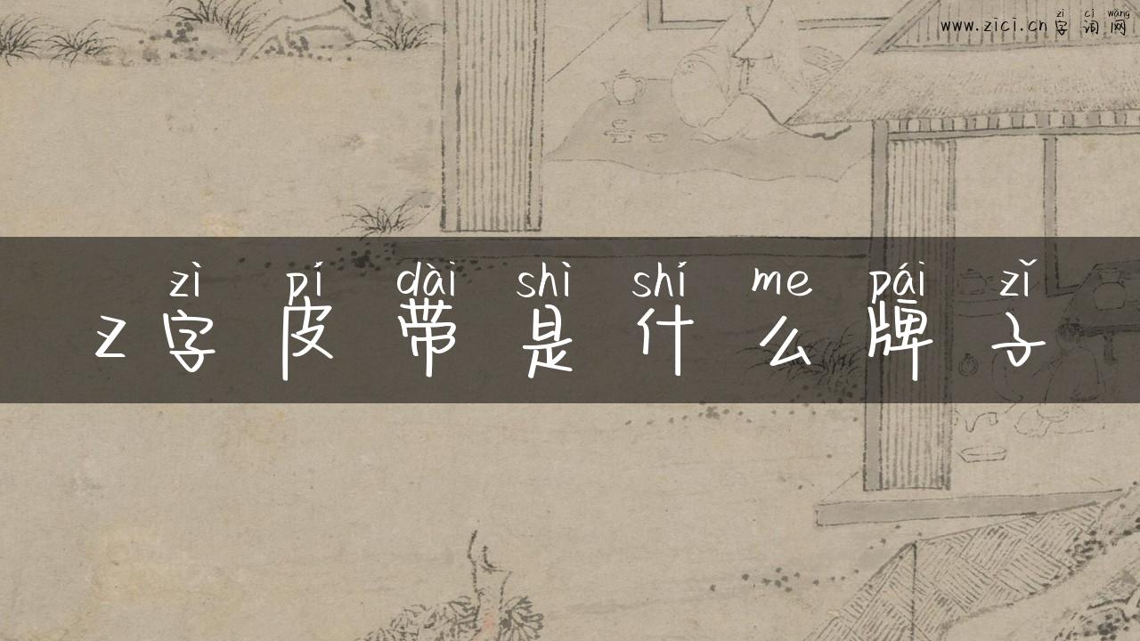 z字皮带是什么牌子