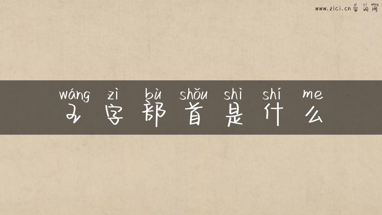 王字部首是什么