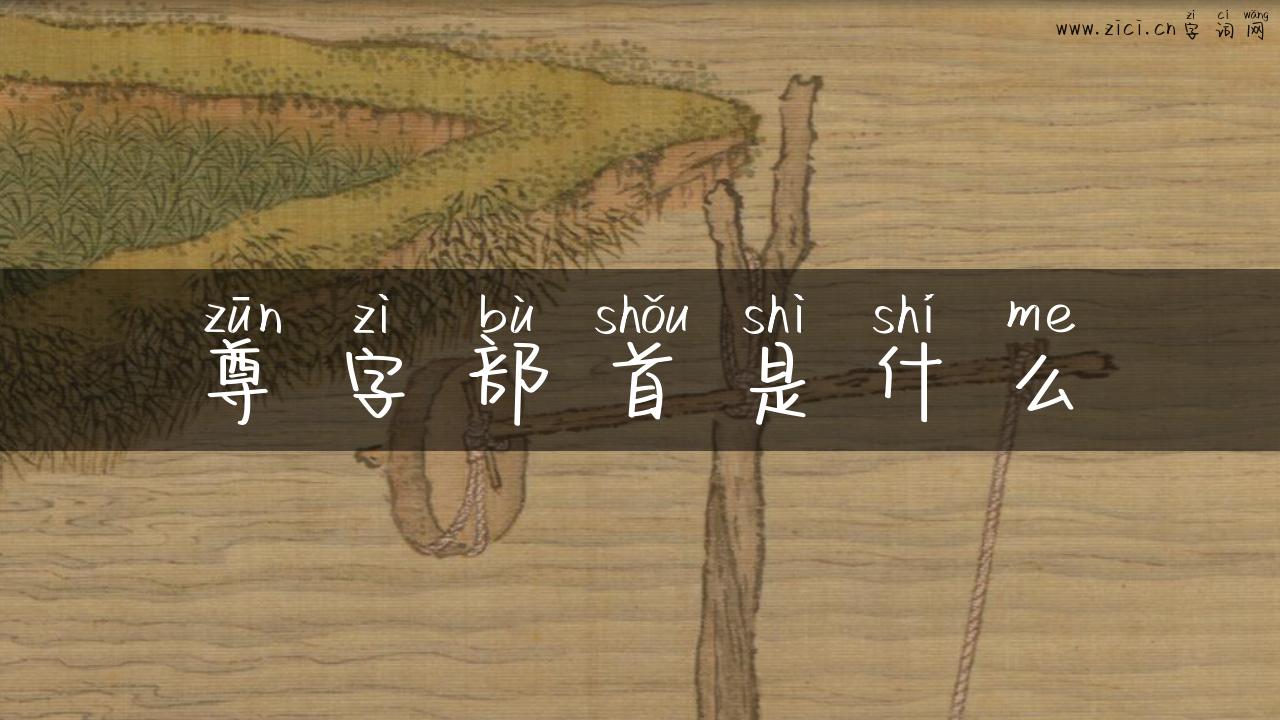 尊字部首是什么