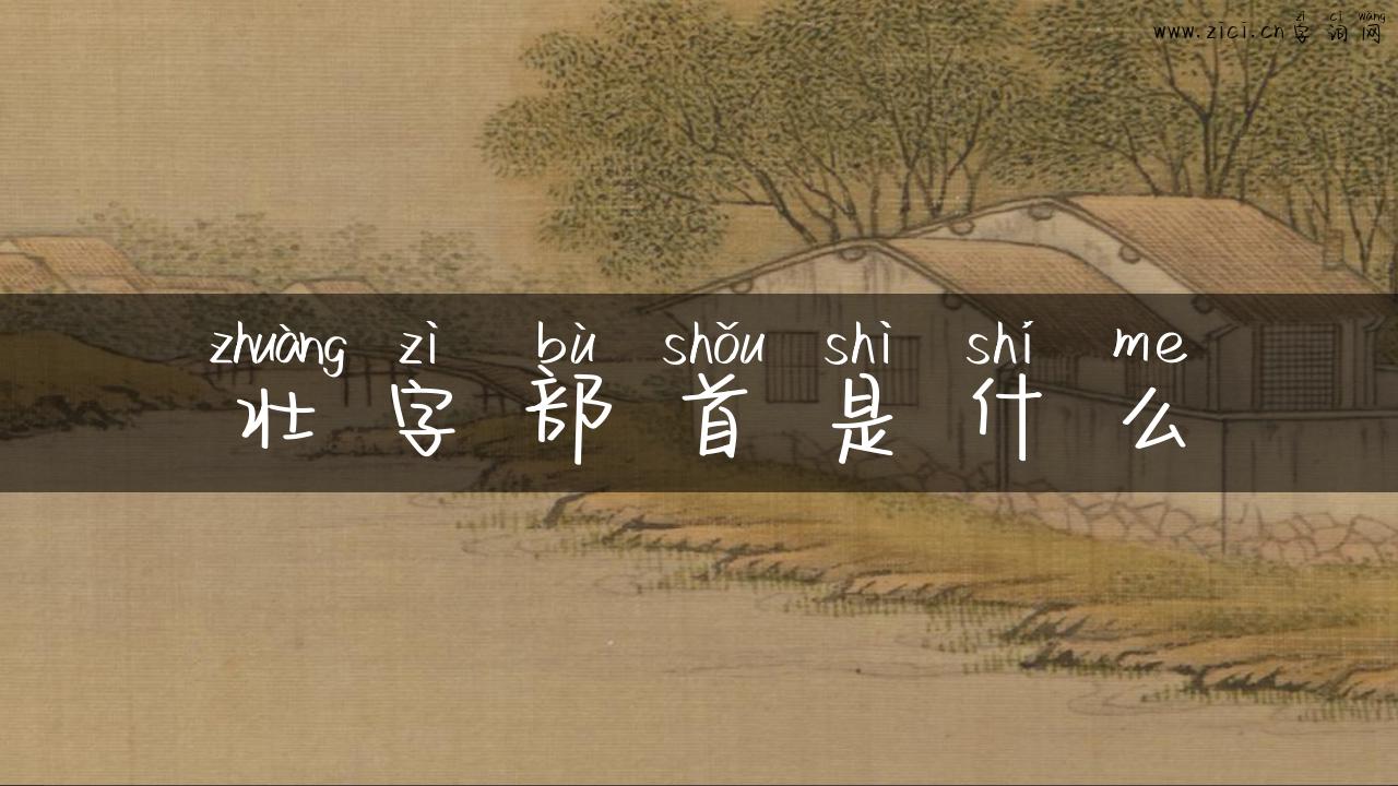 壮字部首是什么