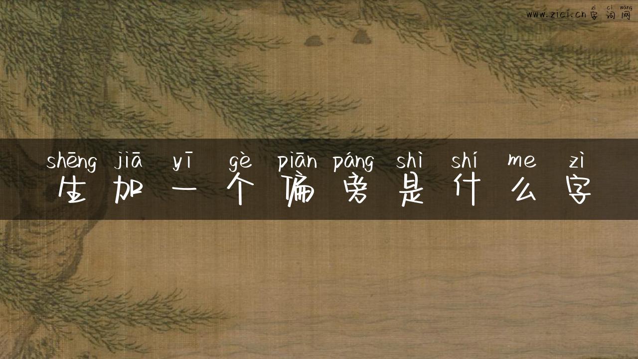 生加一个偏旁是什么字