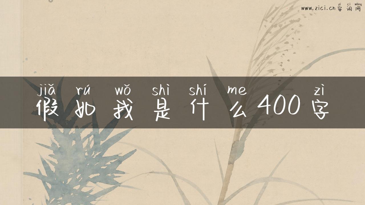 假如我是什么400字