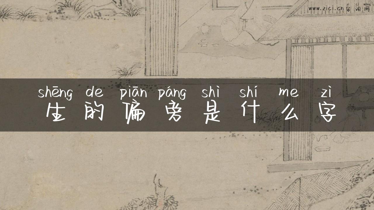 生的偏旁是什么字