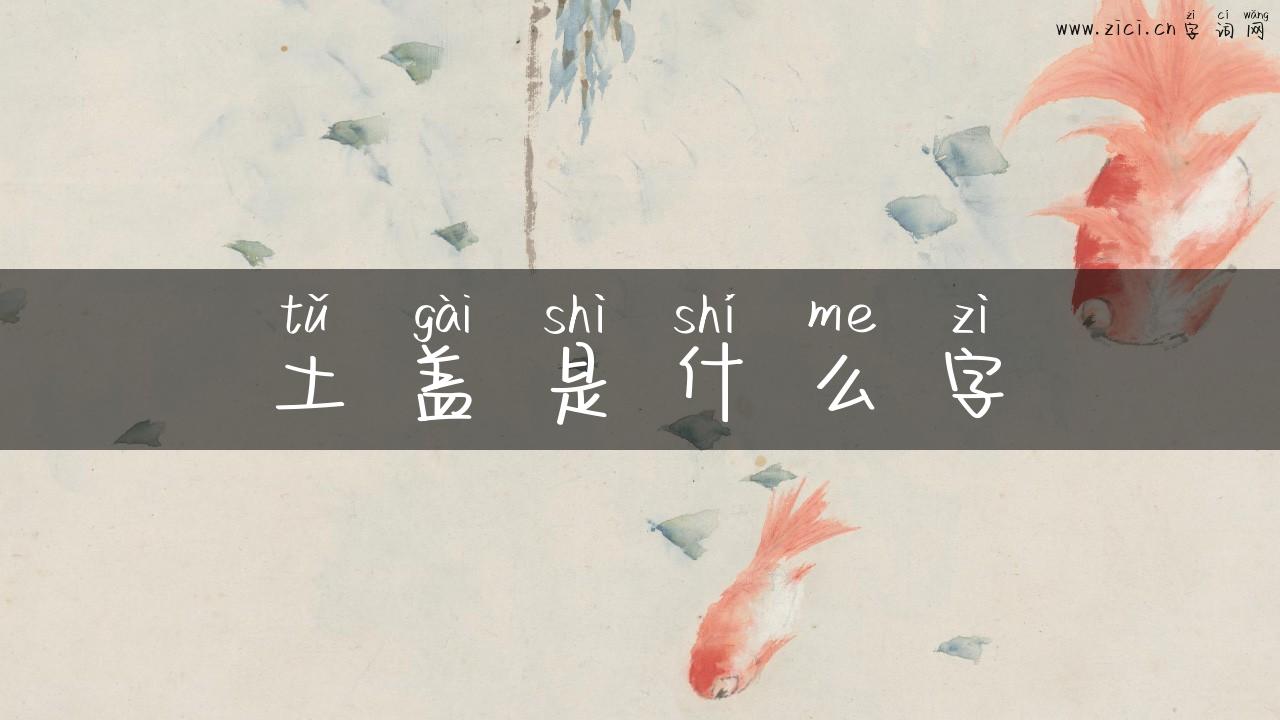 土盖是什么字
