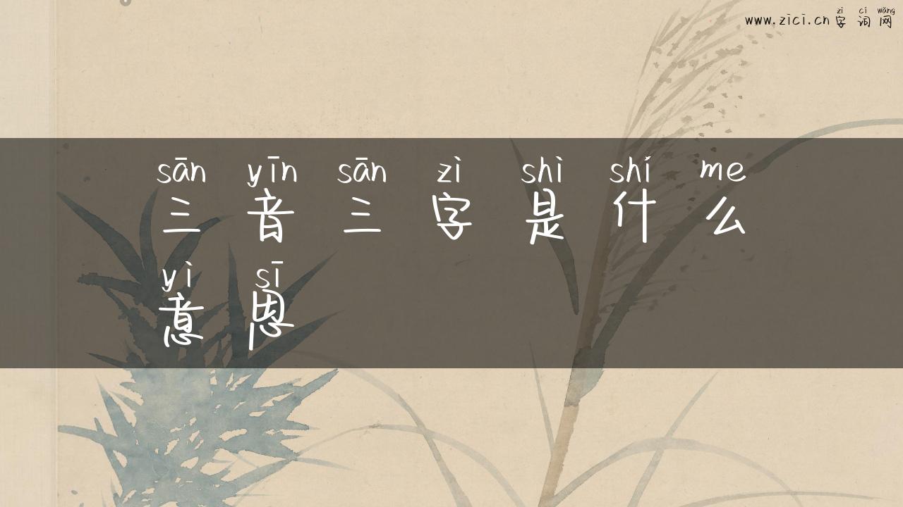 三音三字是什么意思