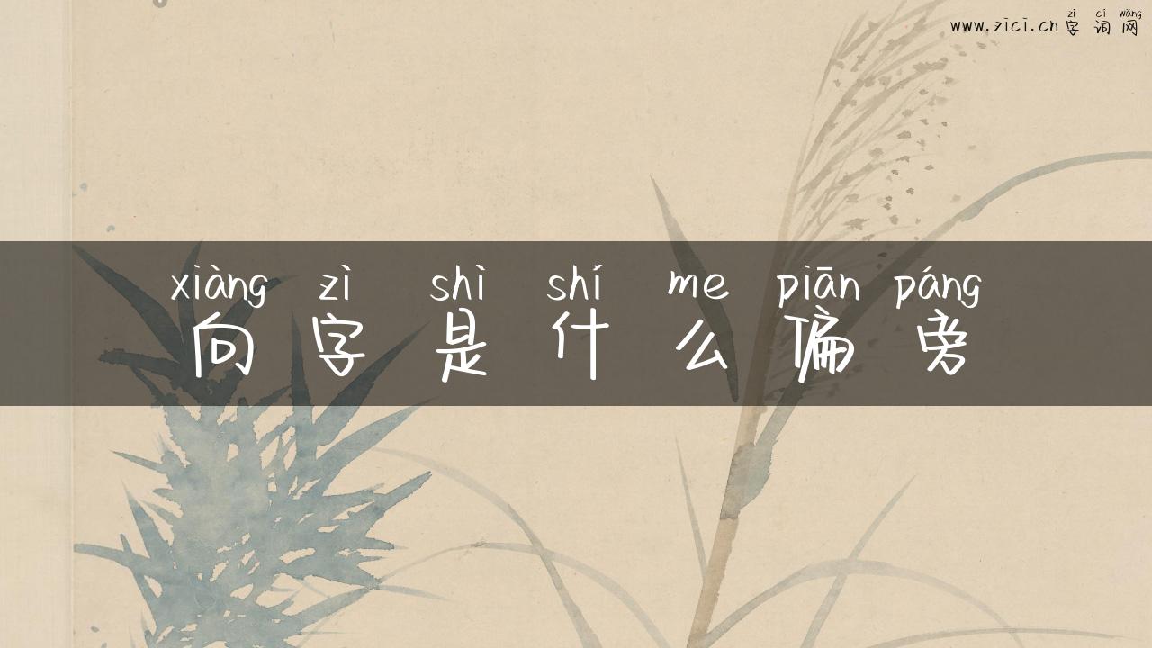 向字是什么偏旁