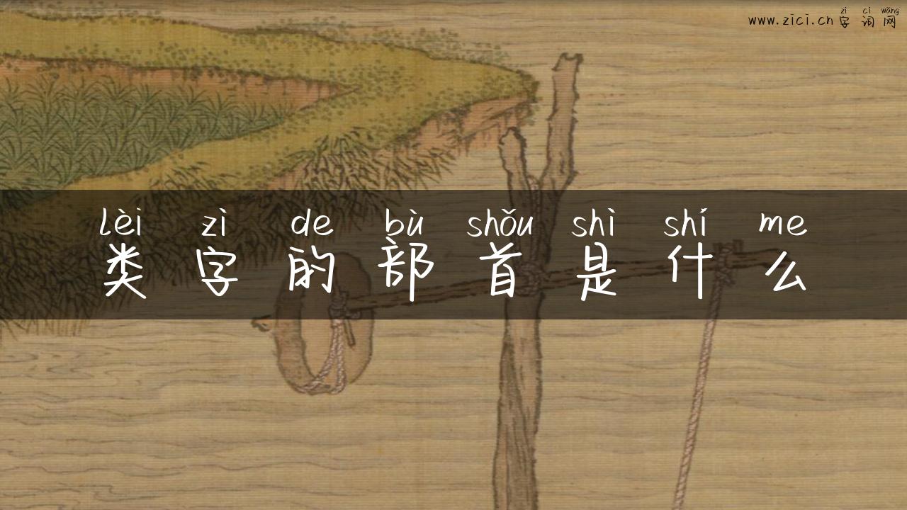 类字的部首是什么