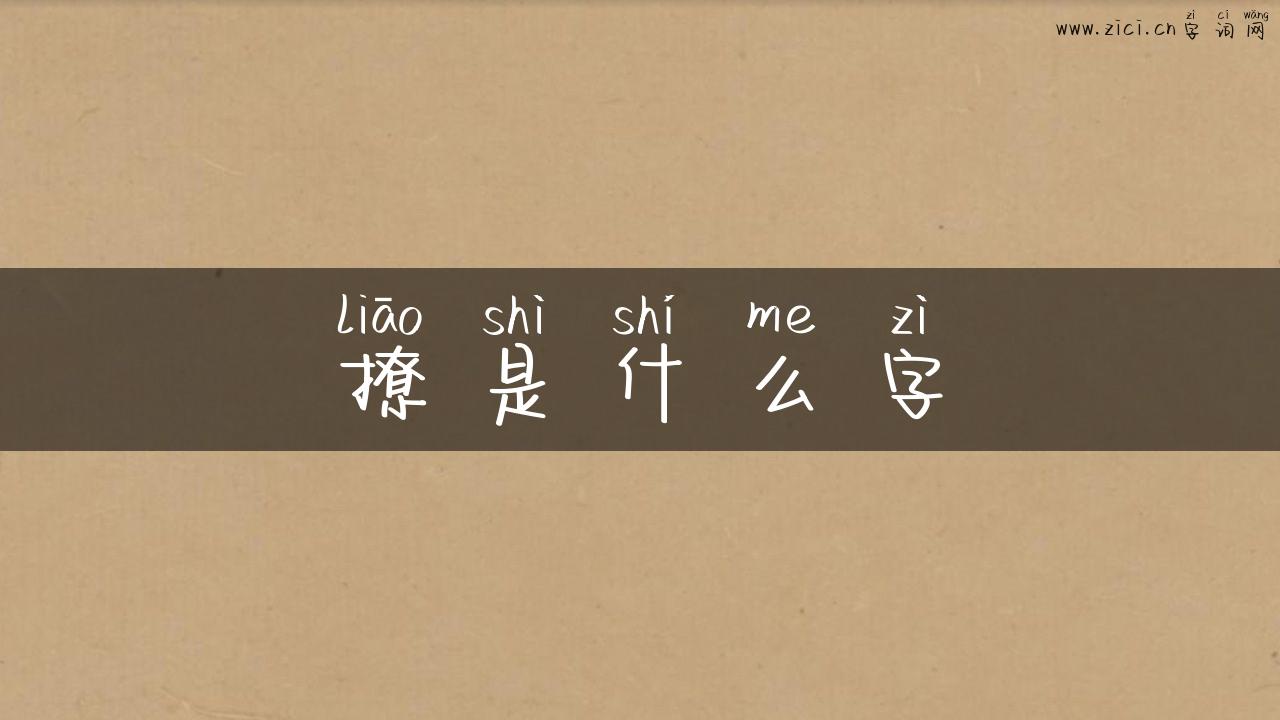 撩是什么字