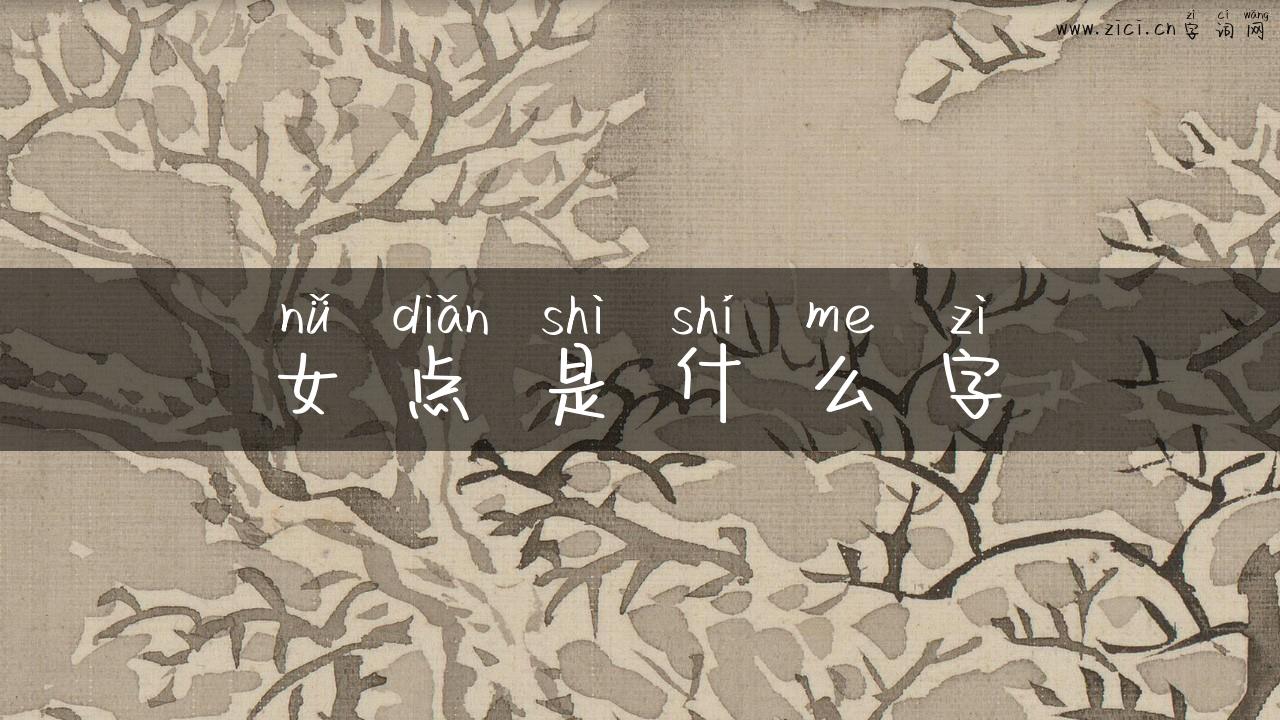 女点是什么字