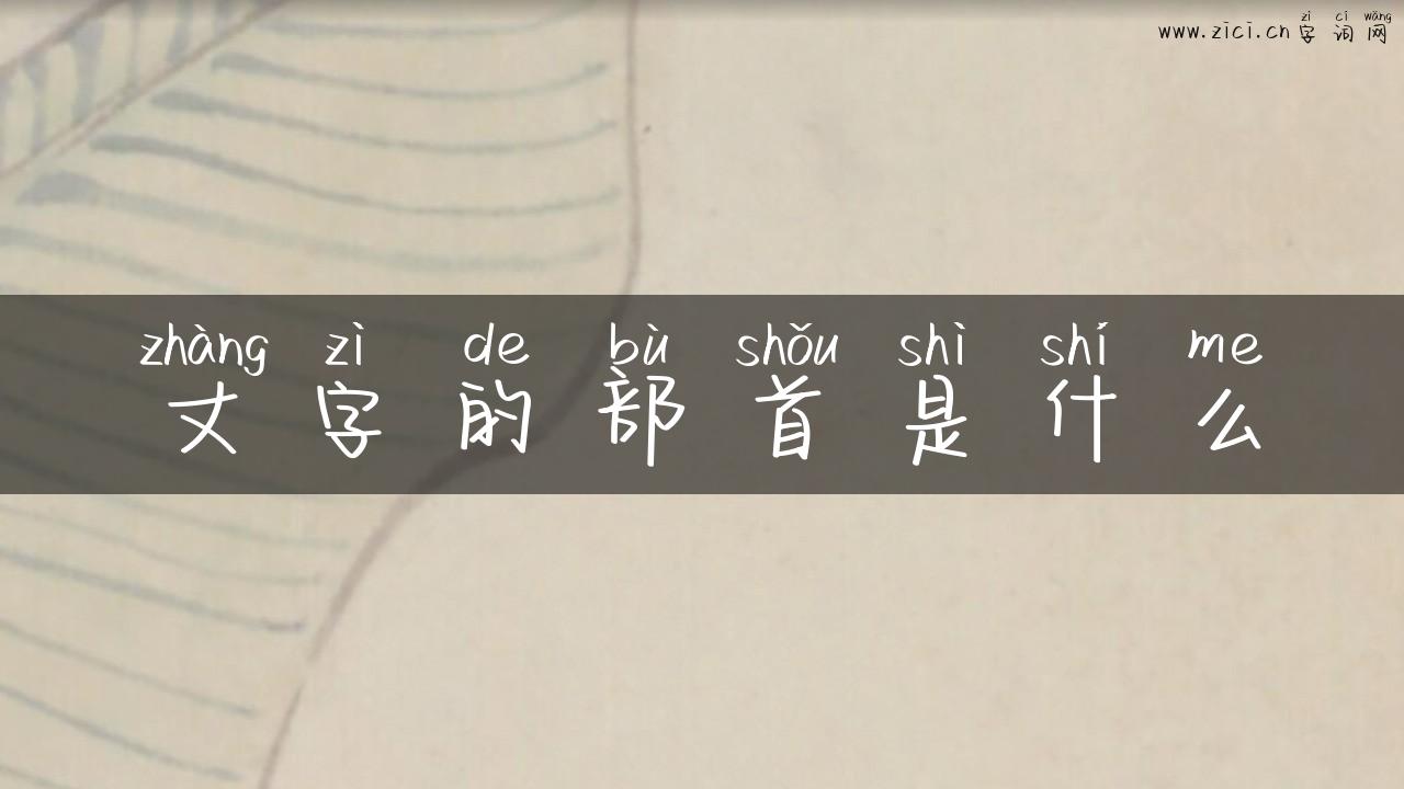 丈字的部首是什么