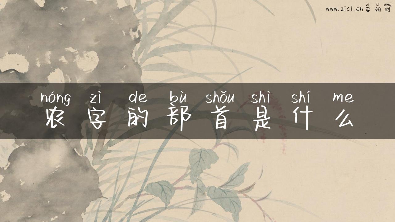 农字的部首是什么