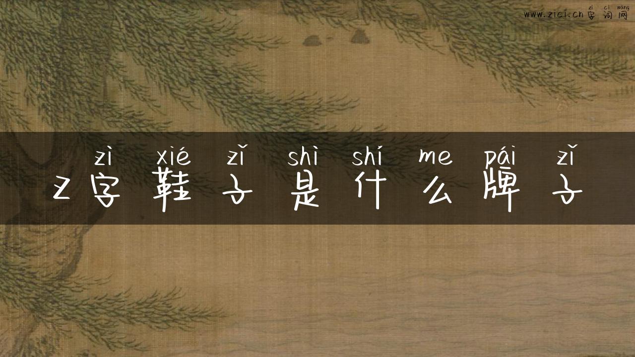 z字鞋子是什么牌子