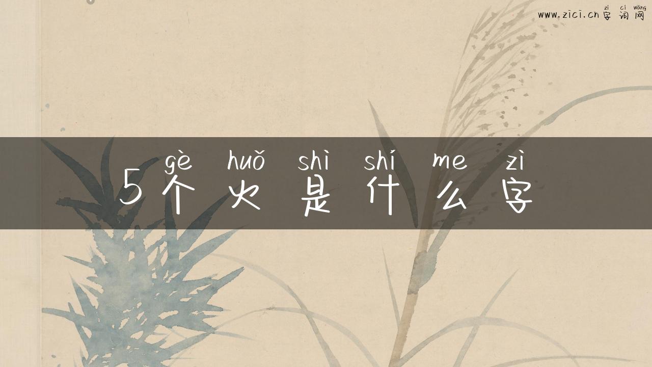 5个火是什么字