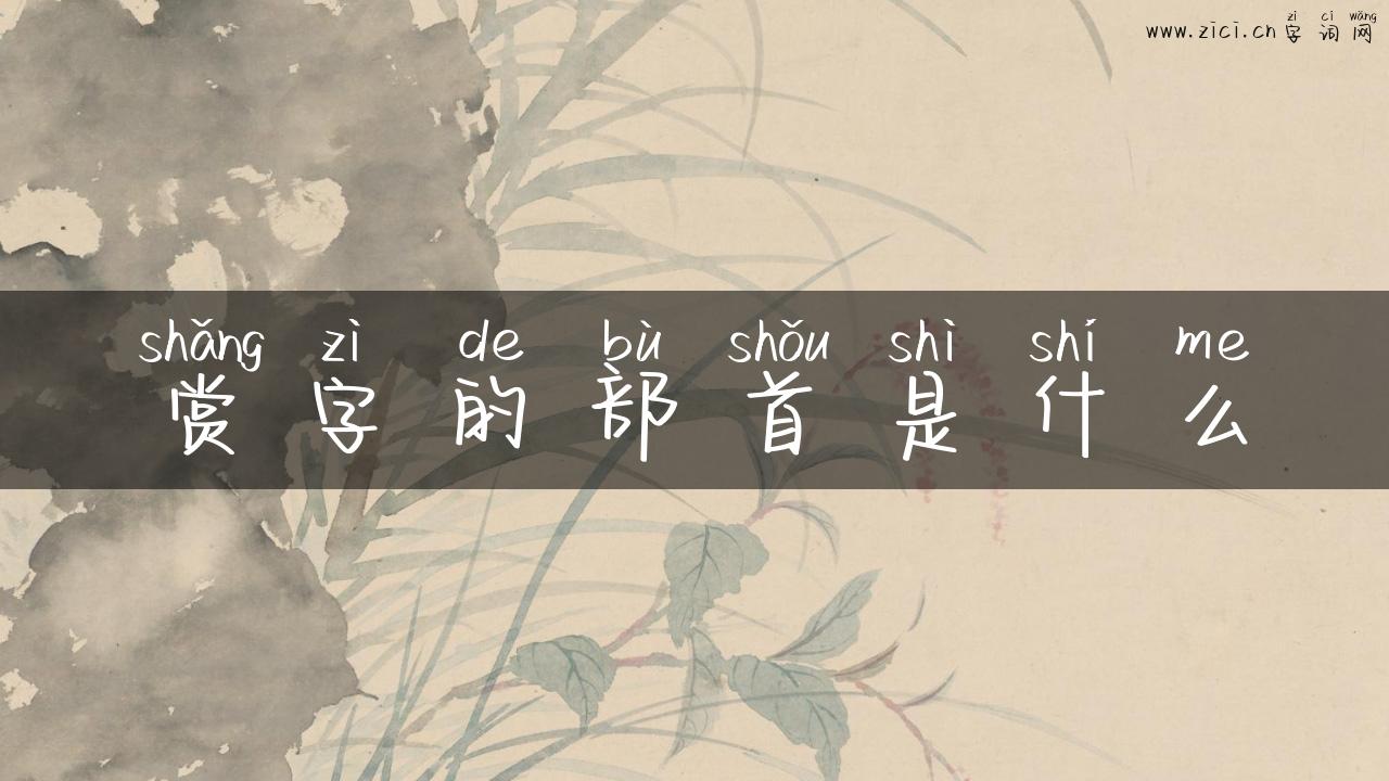 赏字的部首是什么
