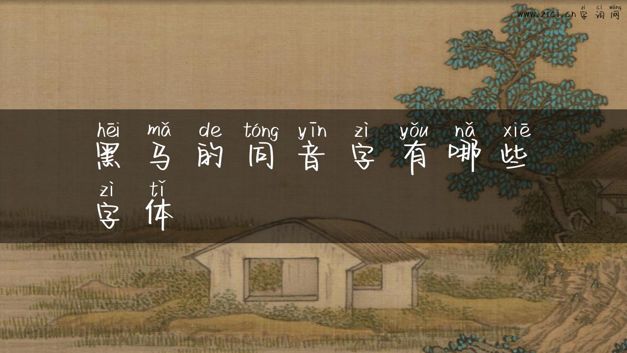 黑马的同音字有哪些字体