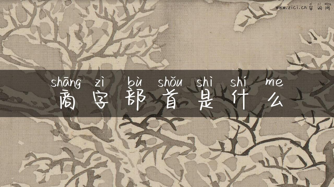 商字部首是什么