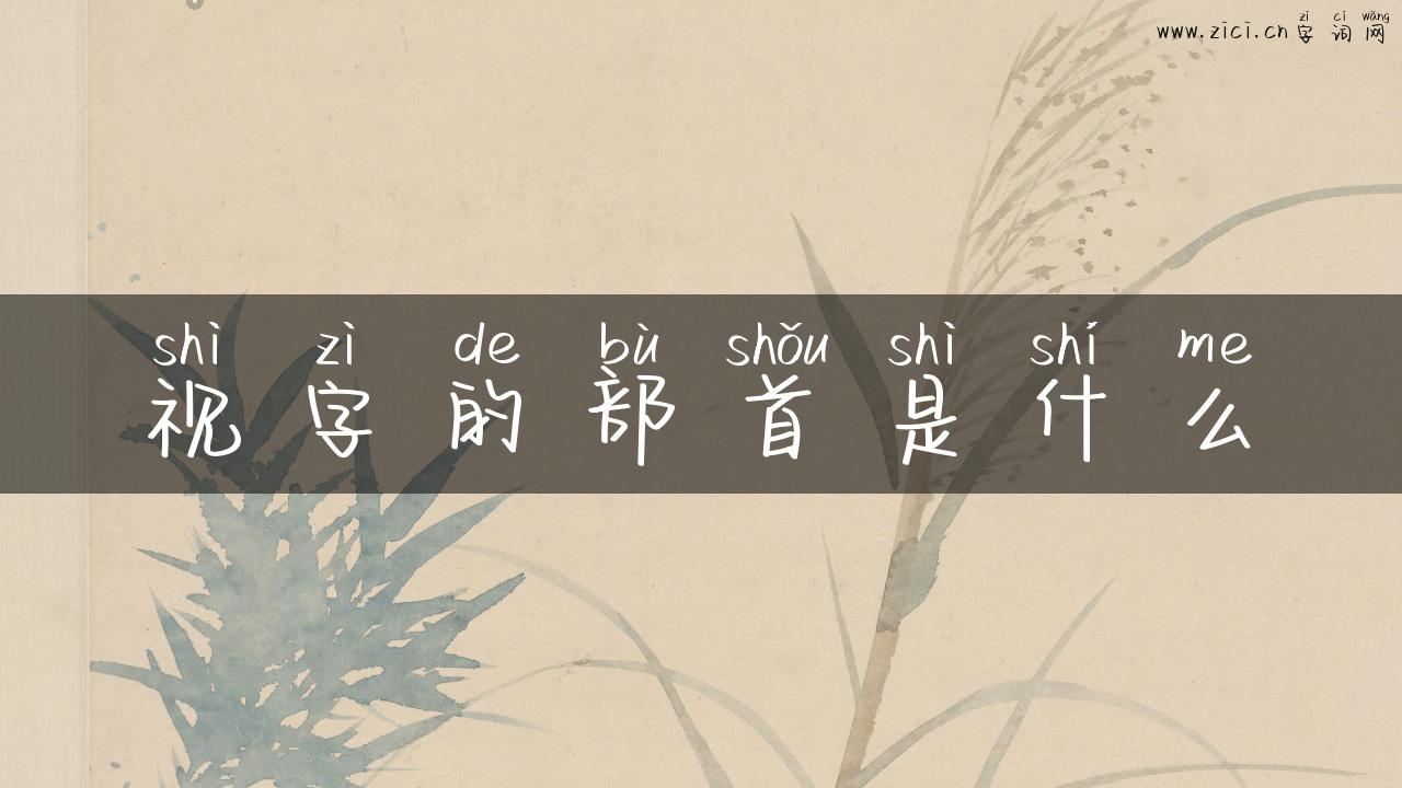 视字的部首是什么