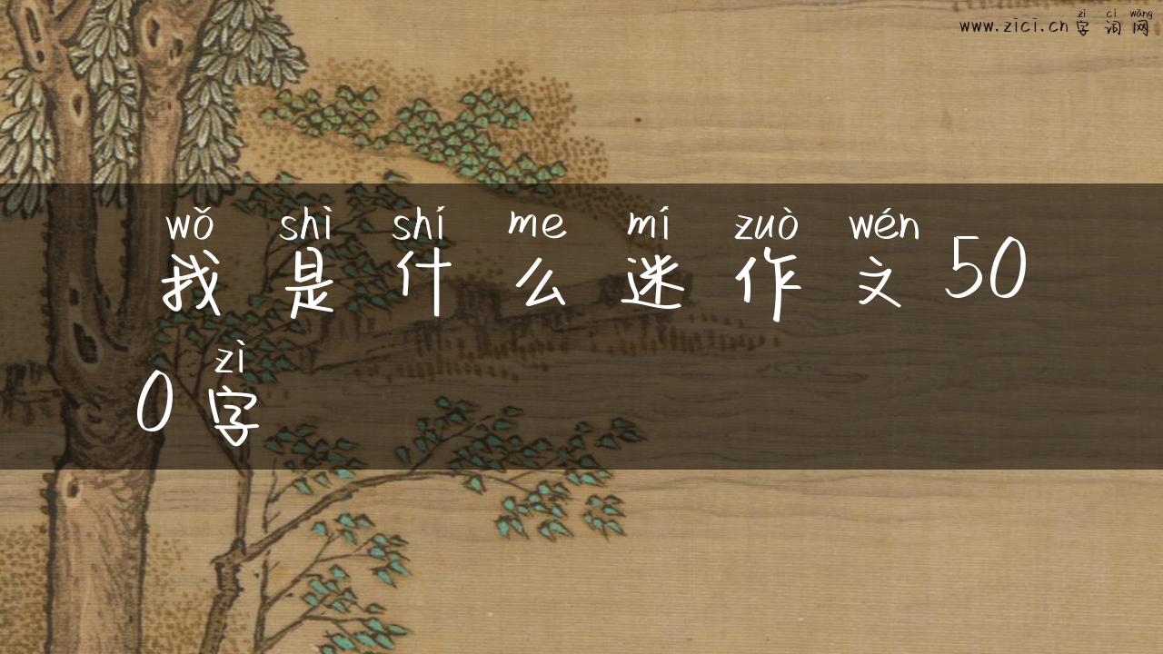 我是什么迷作文500字