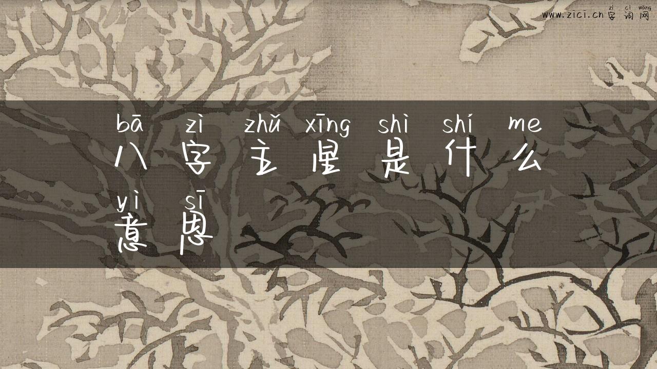 八字主星是什么意思