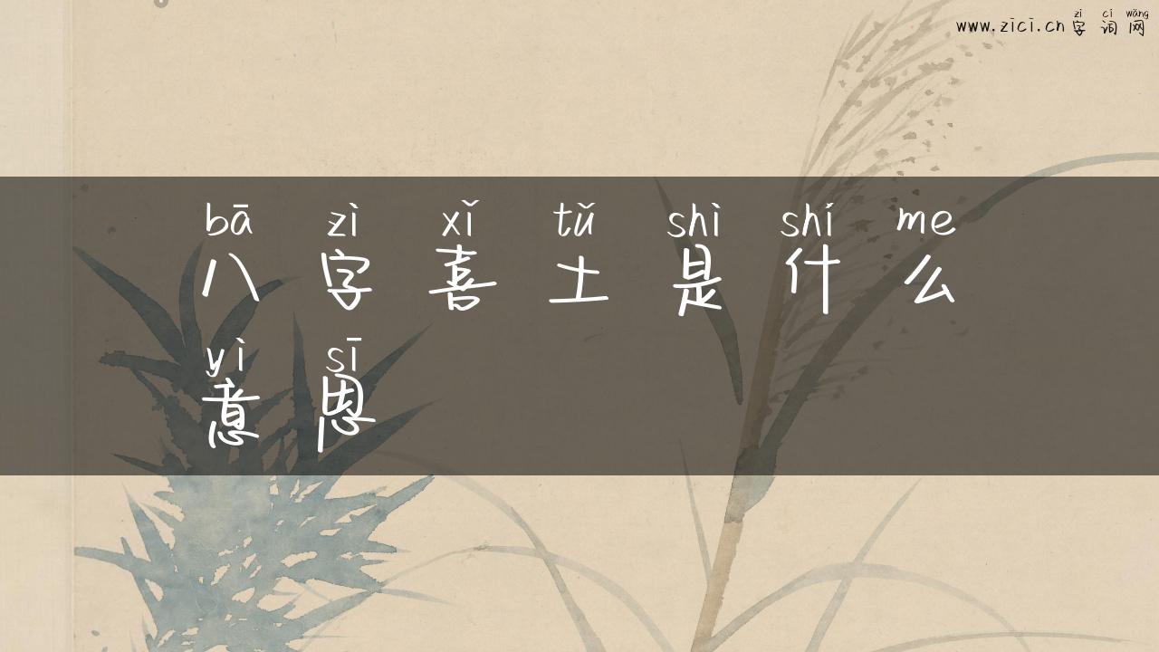 八字喜土是什么意思