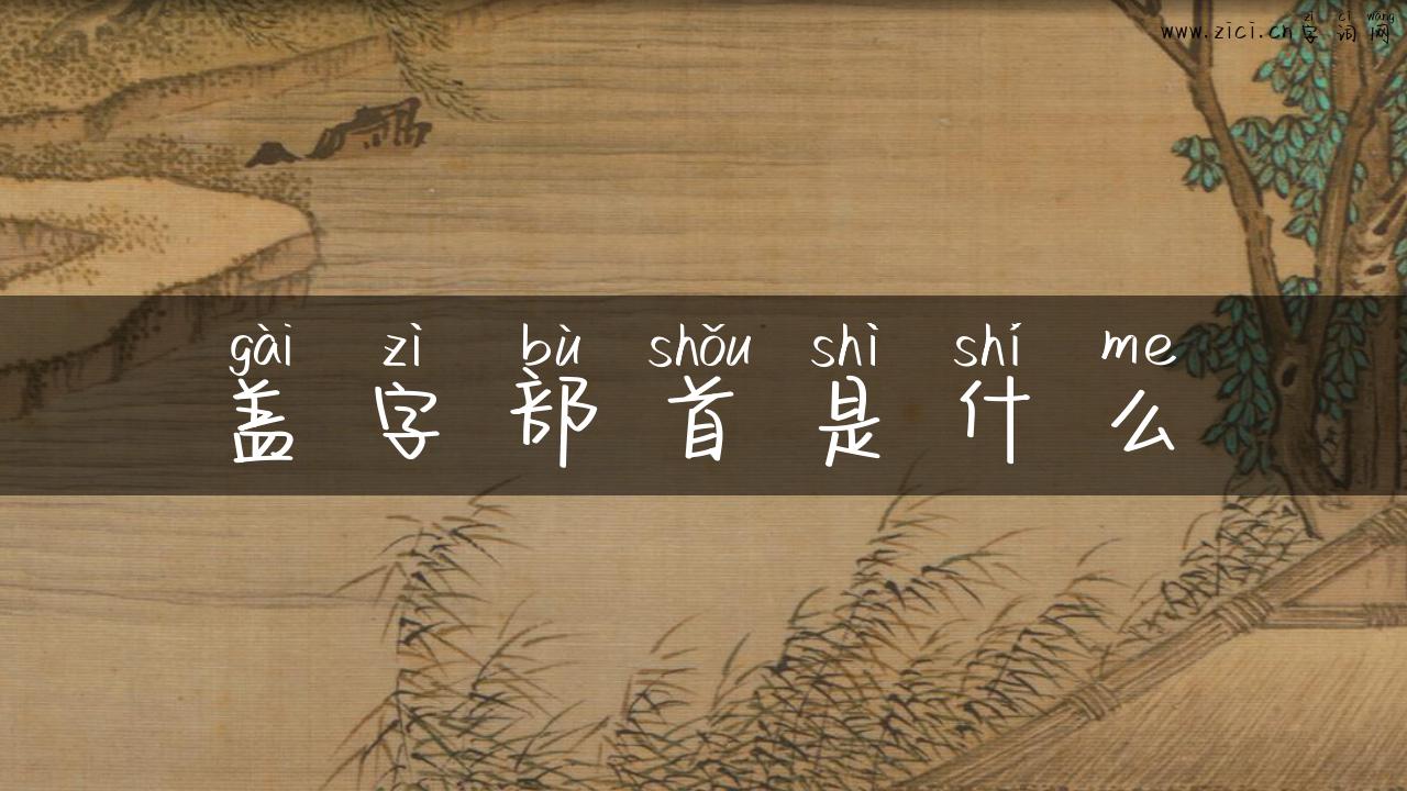 盖字部首是什么