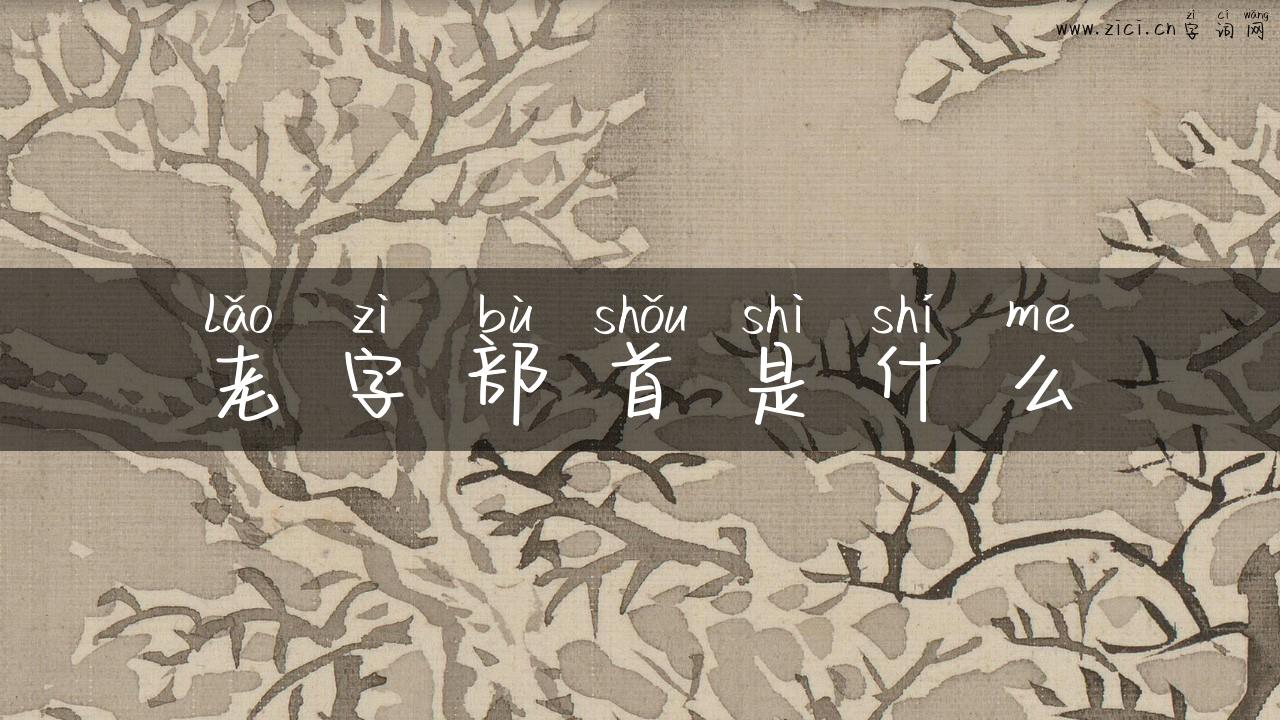 老字部首是什么