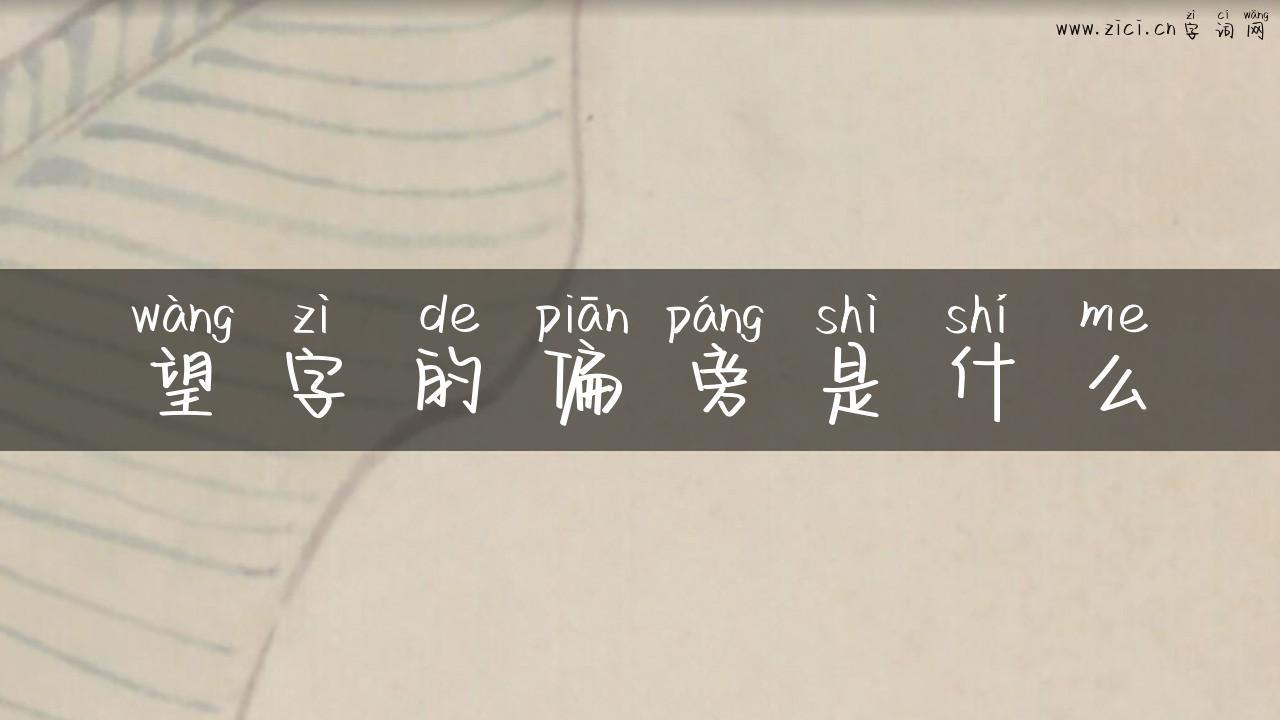 望字的偏旁是什么